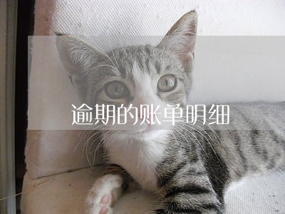 逾期的账单明细 逾期的账单明细