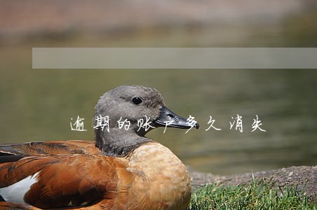 逾期的账户多久消失 逾期的账户多久消失