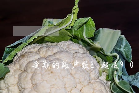 逾期的账户数2超过90天 逾期的账户数2超过90天