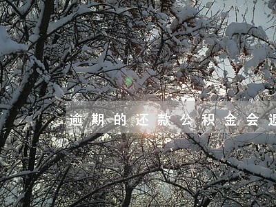 逾期的还款公积金会返还吗 逾期的还款公积金会返还吗