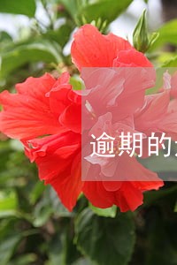 逾期的还款协议书 逾期的还款协议书