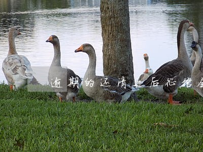 逾期的还清之后征信会更新吗 逾期的还清之后征信会更新吗