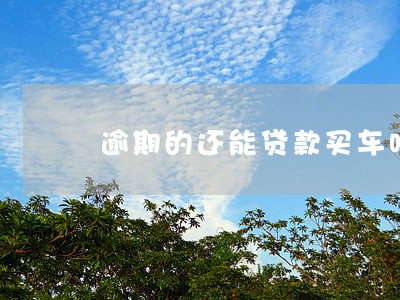逾期的还能贷款买车吗