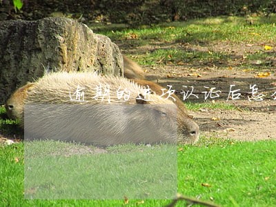 逾期的进项认证后怎么申报 逾期的进项认证后怎么申报