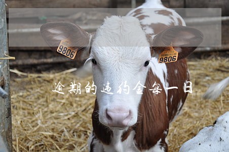 逾期的违约金每一日 逾期的违约金每一日
