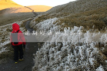 逾期的通知怎么写 逾期的通知怎么写