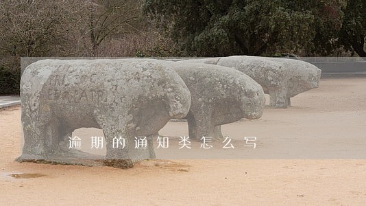 逾期的通知类怎么写 逾期的通知类怎么写