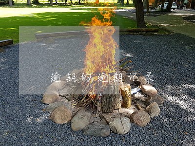 逾期的逾期记录 逾期的逾期记录