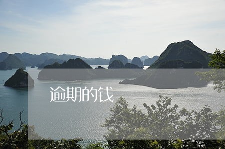 逾期的钱 逾期的钱