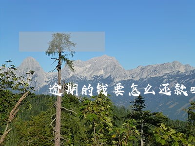 逾期的钱要怎么还款吗 逾期的钱要怎么还款吗