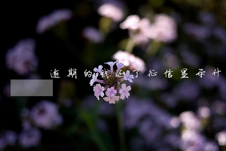 逾期的钱还了征信显示什么 逾期的钱还了征信显示什么