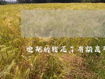 逾期的钱还了有额度可再借吗 逾期的钱还了有额度可再借吗