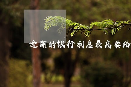 逾期的银行利息最高要给到多少 逾期的银行利息最高要给到多少