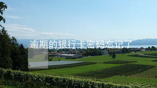 逾期的银行卡密码忘记了 逾期的银行卡密码忘记了