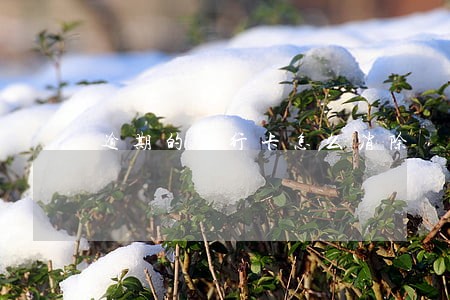 逾期的银行卡怎么消除 逾期的银行卡怎么消除