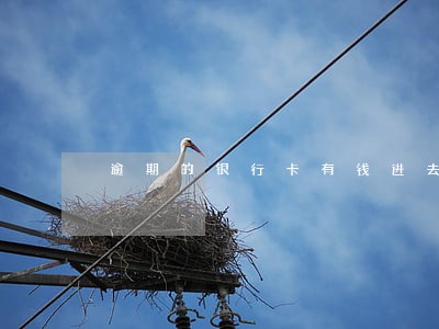 逾期的银行卡有钱进去多久