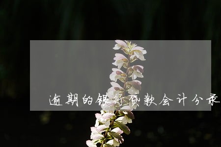 逾期的银行贷款会计分录 逾期的银行贷款会计分录