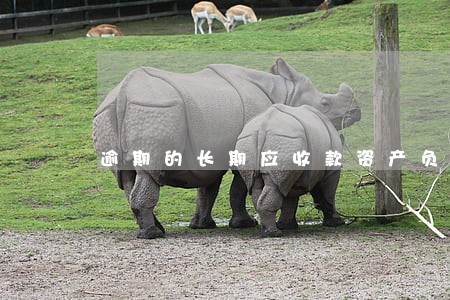 逾期的长期应收款资产负债表 逾期的长期应收款资产负债表
