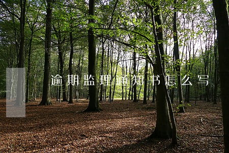 逾期监理通知书怎么写 逾期监理通知书怎么写