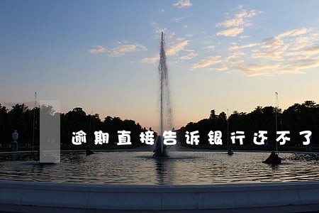 逾期直接告诉银行还不了 逾期直接告诉银行还不了