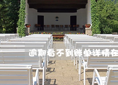 逾期看不到账单详情在哪 逾期看不到账单详情在哪