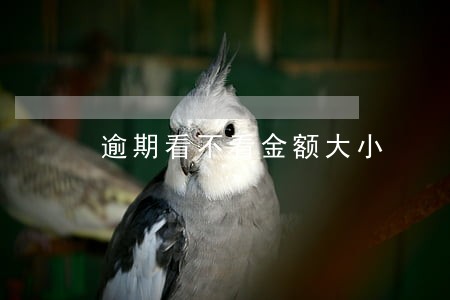 逾期看不看金额大小 逾期看不看金额大小