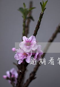 逾期看笔数还是金额 逾期看笔数还是金额