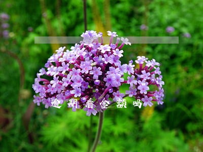 逾期看金额吗 逾期看金额吗
