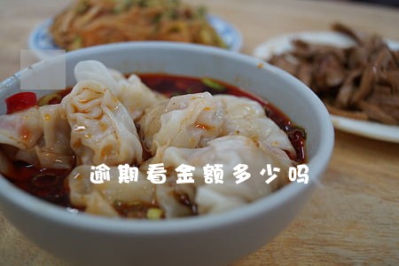 逾期看金额多少吗 逾期看金额多少吗