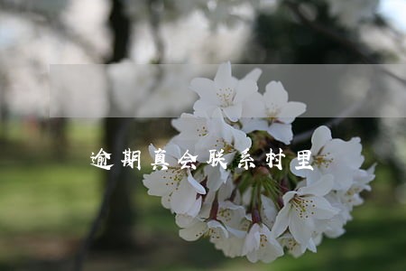 逾期真会联系村里 逾期真会联系村里