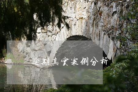 逾期真实案例分析 逾期真实案例分析