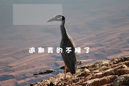逾期真的不候了 逾期真的不候了