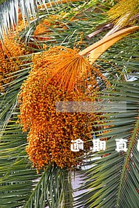 逾期真的不能住酒店吗 逾期真的不能住酒店吗