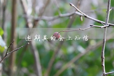 逾期真的会上征信 逾期真的会上征信