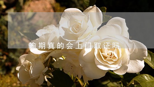 逾期真的会上门取证吗