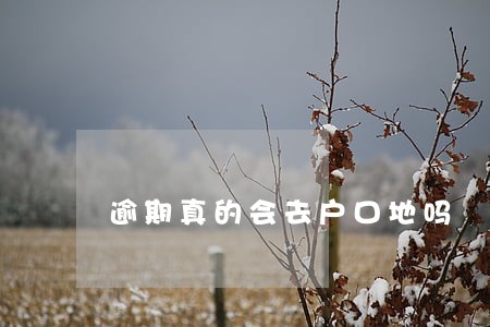 逾期真的会去户口地吗 逾期真的会去户口地吗