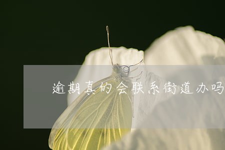 逾期真的会联系街道办吗 逾期真的会联系街道办吗