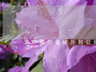 逾期真的会被外包公司