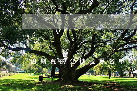 逾期真的会被拉黑名单吗 逾期真的会被拉黑名单吗