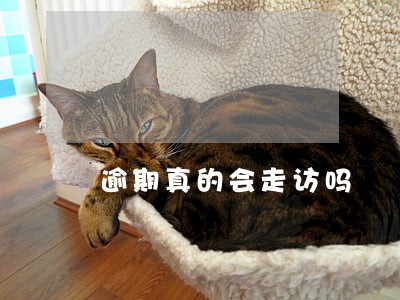 逾期真的会走访吗 逾期真的会走访吗