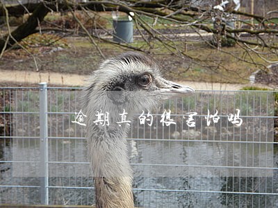 逾期真的很害怕吗 逾期真的很害怕吗