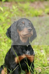 逾期真的没钱会坐牢吗 逾期真的没钱会坐牢吗
