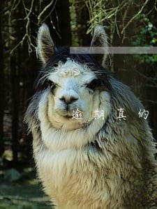 逾期真的没钱怎么办 逾期真的没钱怎么办