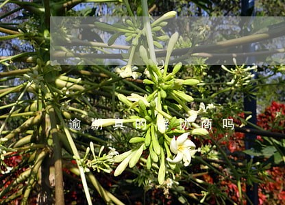 逾期真的能协商吗 逾期真的能协商吗