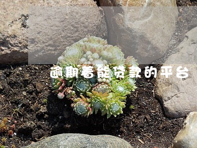 逾期着能贷款的平台 逾期着能贷款的平台