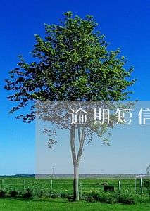 逾期短信上的退回t是什么意思 逾期短信上的退回t是什么意思