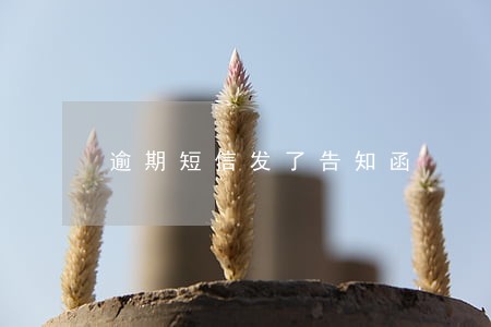 逾期短信发了告知函