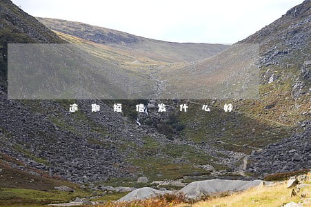 逾期短信发什么好