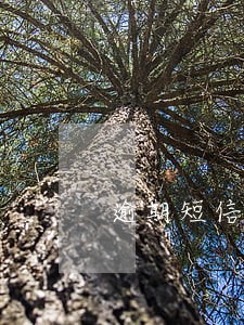 逾期短信发到家人怎么说