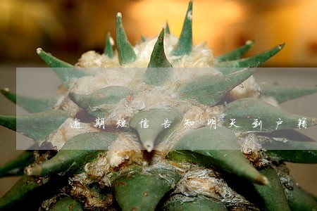 逾期短信告知明天到户籍地 逾期短信告知明天到户籍地
